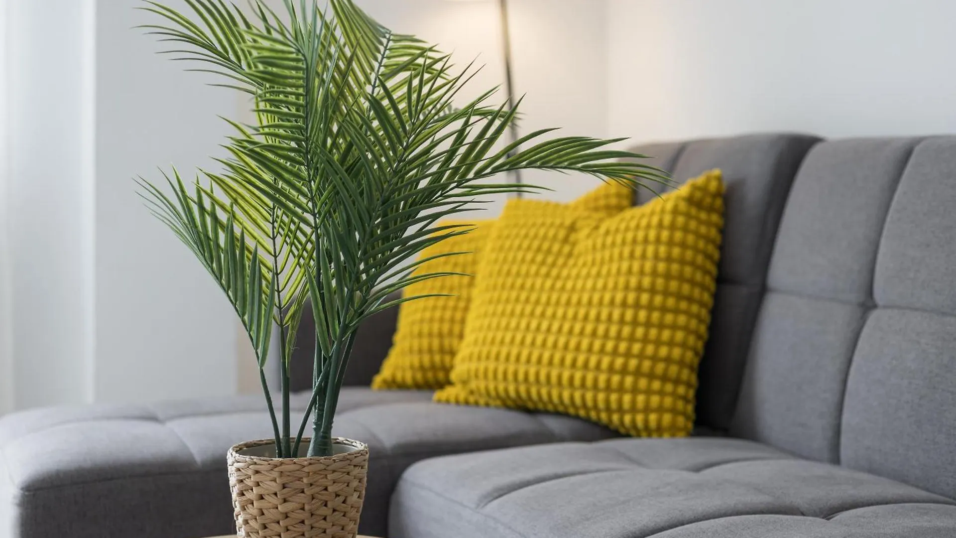 Ap House. Pto Del Rosario, Fuerteventura. Apartman Puerto del Rosario Spanyolország